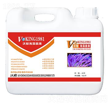 �����n��-���L