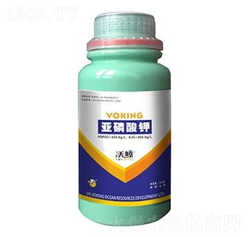 �������0-520-350-���L