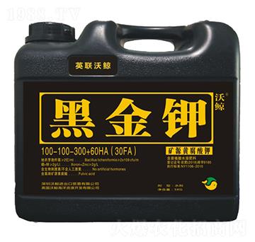 �VԴ�S�����-�ڽ��-���L