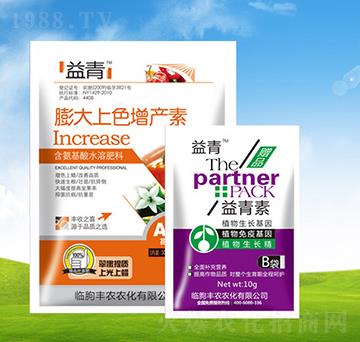 �����ɫ������+������