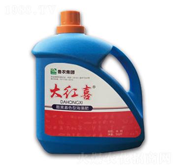 �����ɫ�ͺ����-��tϲ-���r(n��ng)���F