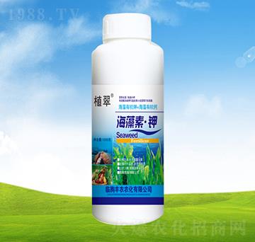 �����ء��-ֲ��-�S�r(n��ng)