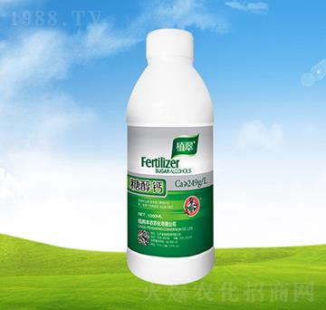 �Ǵ��}��ƿ��-ֲ��-�S