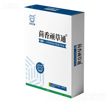 茴香頑草通-正華力致