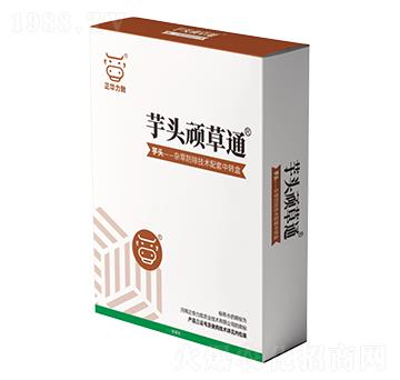 芋頭頑草通-正華力致