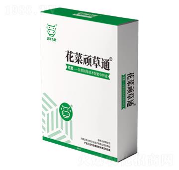 花菜頑草通-正華力致