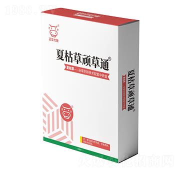 夏枯草頑草通-正華力致