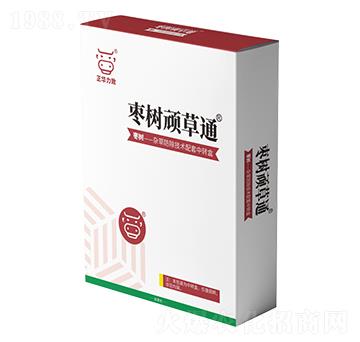 棗樹頑草通-正華力致