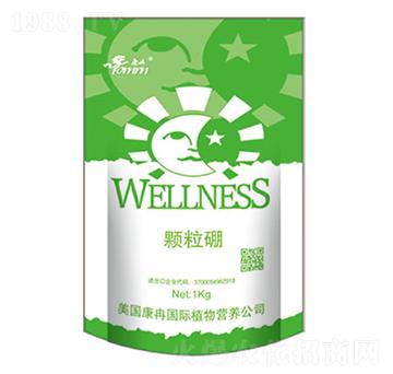 �w����-��Ƚ-��Ƚ���H