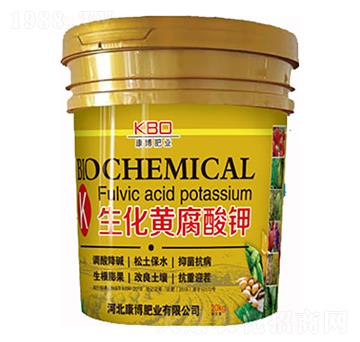 �����S�����-�����ʘI(y��)