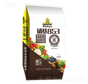 25kg高塔硝硫基復(fù)合肥料13-5-28-硝基853-京云盛豐