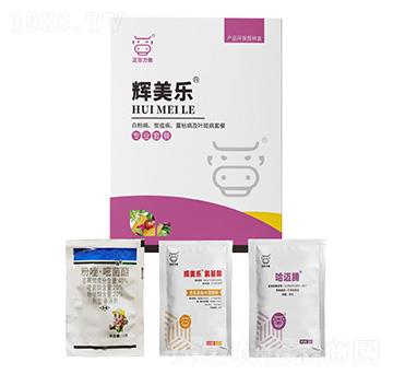 白粉病、炭疽病、蔓枯病及葉斑病套餐-輝美樂-正華力致