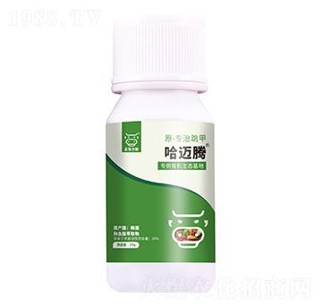 ���x(ch��ng)֬��ȡ��-���~�v��ԭ-��(zhu��n)�����ף�-���A����