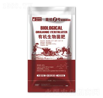 �ЙC(j��)�������-���C(j��)1̖(h��o)-��������