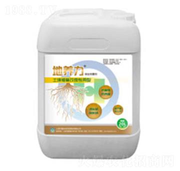 �����ޏ�(f��)��������-���B(y��ng)��-��(gu��)�h(hu��n)���B(t��i)