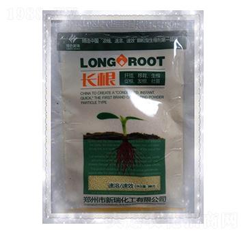 �L(zh��ng)��-����