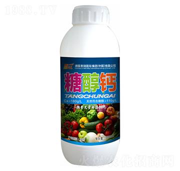 �Ǵ��}-�»�