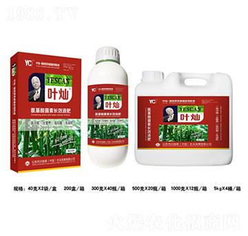 �S�ό��ð���������LЧҺ��-�~�N-�»�