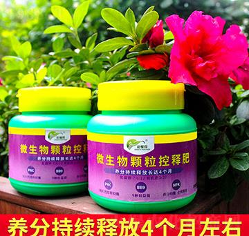 微生物顆?？蒯尫?花懂得