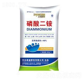 ������@-��ʢ����