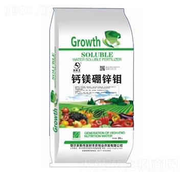 �}�V���\�f-�l(f��)ؔ(c��i)��