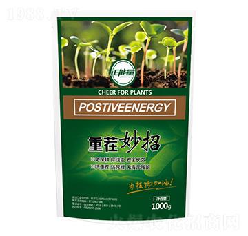 �ز�����-������