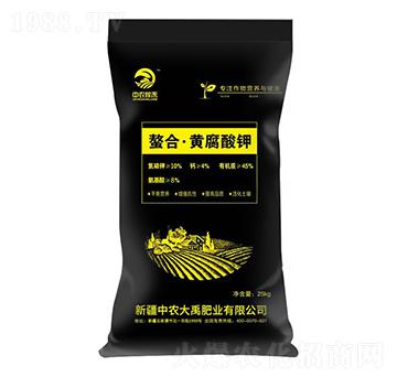 �����S�����-���r(n��ng)����