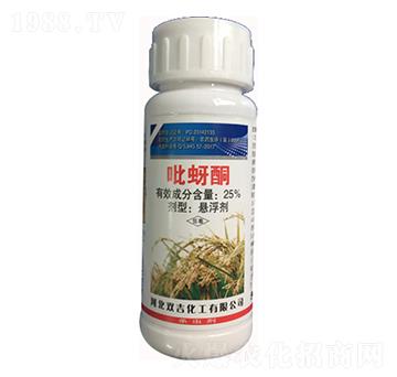 25%����ͪ�Ҹ���-�p������