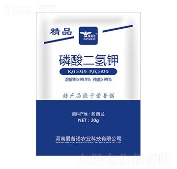 ��������-�����Z