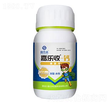 �Ǵ��}-�Θ���-���˺�