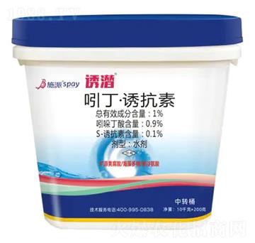 �T��-ʩ������