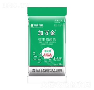 莖葉寶微生物菌劑-加萬金-京青科技