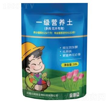 һ��(j��)�I�B(y��ng)�������⻨�܌��ã�-С���z