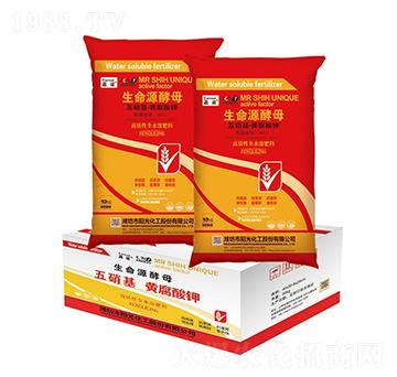 10kg����Դ��ĸ-���Z-�(y��ng)�⻯��