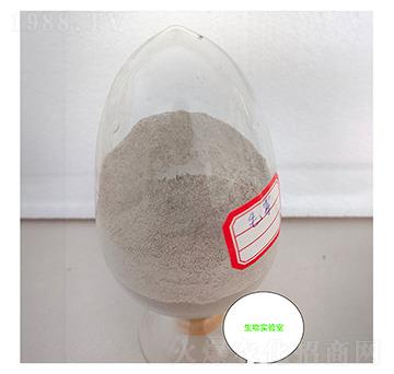 毛霉菌種-九邦生物