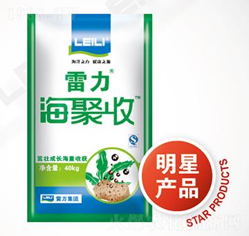 �����(f��)���w����-����������-��������