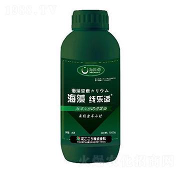 海藻線樂適-?？破? width=