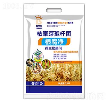 ������΢�������-��ؐ��-�е����r(n��ng)