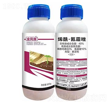 40%ϩ������˪��Ҹ���500��-���L(f��ng)��-�G������