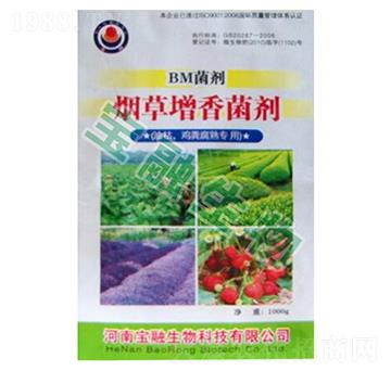 BM��������������Ϳݡ��u�S���ã�-��������