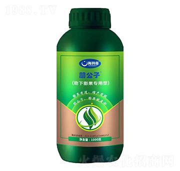 地下膨果專用型含氨基酸水溶肥料-朋公子-海科奇