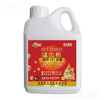 ΢�������-������-�n��-�n��ʘI(y��)