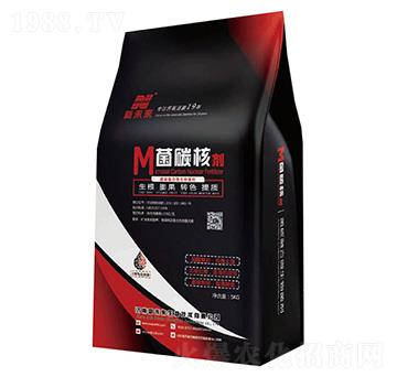 ��̼�˄�-��δ��