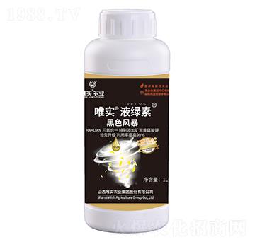 ��ɫ�L(f��ng)��-Ψ��(sh��)��Һ�G��