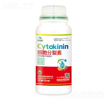 細(xì)胞分裂素-宇東植康-圣金肥業(yè)