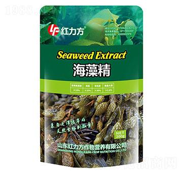 海藻精-紅力方
