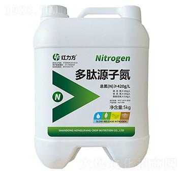 多肽源子氮-紅力方