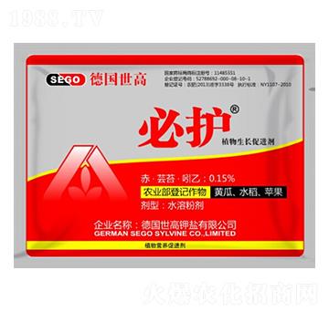 ֲ�����L���M(j��n)��-���o(h��)-����������