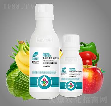 ���������}�V�\���F-Ӣ¶�����S