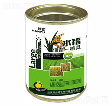 水稻僵苗一噴靈-康爾特